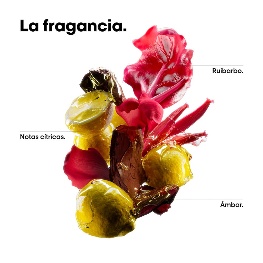 SHAMPOO REFILL L'ORÉAL PROFESSIONNEL VITAMINO COLOR SPECTRUM (REFILL DE SHAMPOO PARA CABELLO TEÑIDO)